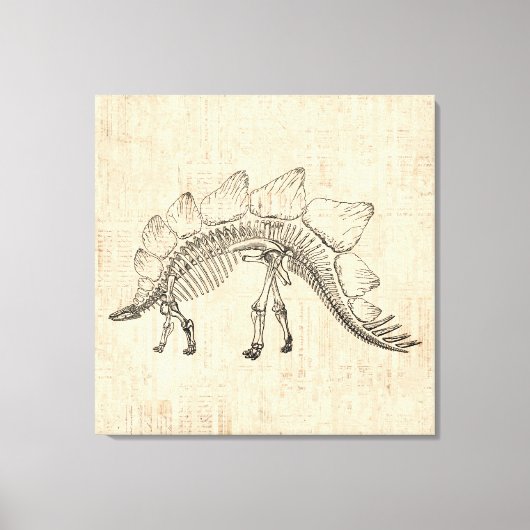 Stegosaurus Dinosaur Skeleton Script Paper Canvas Afdruk (Voorkant)
