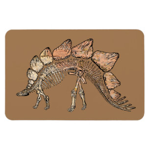 Stegosaurus Magneet