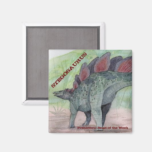 Stegosaurus Magnet (Voorkant / Achterkant)
