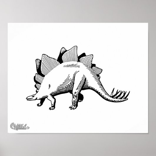 Stegosaurus Poster (Voorkant)