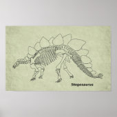 Stegosaurus Skeleton Poster (Voorkant)