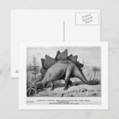Stegosaurus ungulatus art briefkaart (Voorkant / Achterkant)