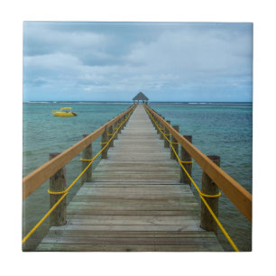 Steiger aan de Koraal kust, Fiji Tegeltje