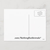 Steiger door sneeuw Dashing door de sneeuw Feestdagenkaart (Achterkant)