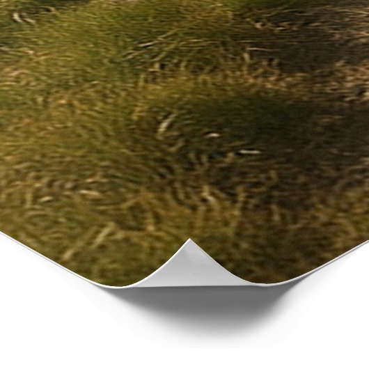 steigermedia poster (Hoek)