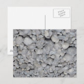 Stein Briefkaart (Voorkant / Achterkant)