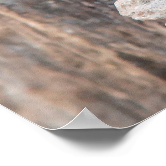 Stein und Holz (vertikal) Poster (Hoek)