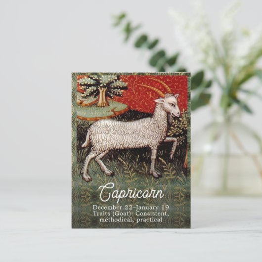 Steinbok de Geit Zodiac Sterrenbeeld Verjaardagsfe Briefkaart (Staand voorkant)