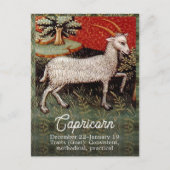 Steinbok de Geit Zodiac Sterrenbeeld Verjaardagsfe Briefkaart (Voorkant)