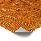 Steinlen Cats Poster (Hoek)