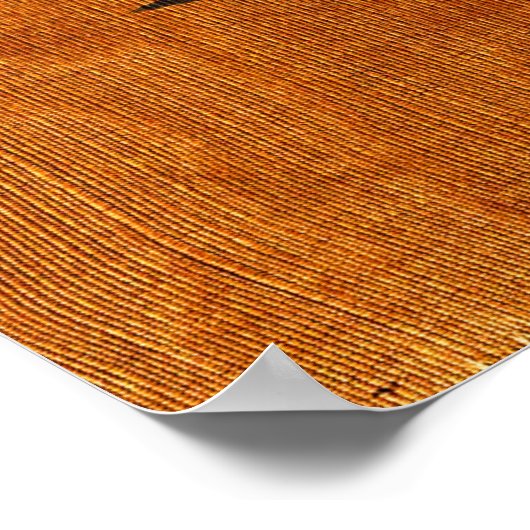 Steinlen Cats Poster (Hoek)