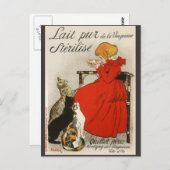 Steinlen's Lait pur Stérilisé Briefkaart (Voorkant / Achterkant)