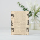 Steinway en Sons, pianoproducenten Briefkaart (Staand voorkant)