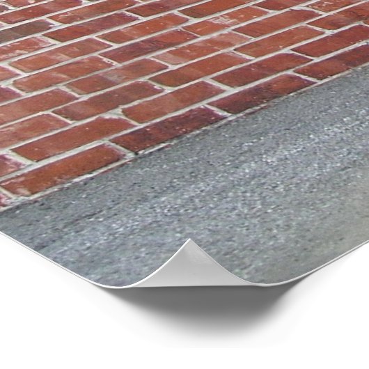 Steiny Poster (Hoek)