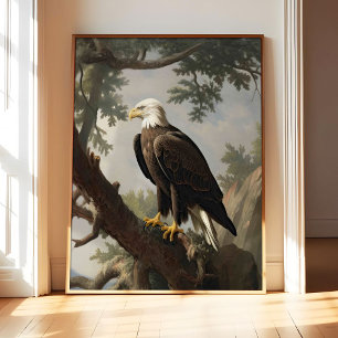 Stekelarend Vogel Poster Kunst Print, Dier Retro K