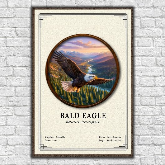 Stekelarend Zoologie Serie Poster