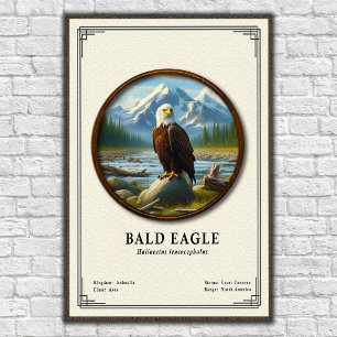 Stekelarend Zoologie Serie Poster
