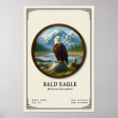 Stekelarend Zoologie Serie Poster (Voorkant)