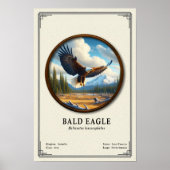 Stekelarend Zoologie Serie Poster (Voorkant)