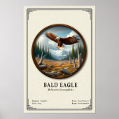 Stekelarend Zoologie Serie Poster (Voorkant)