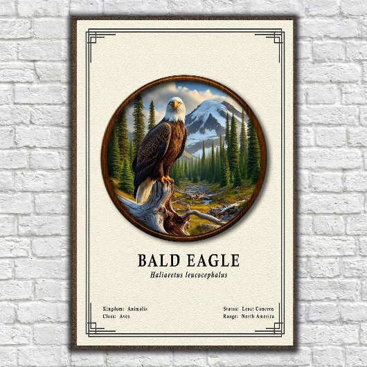 Stekelarend Zoölogische Serie Poster
