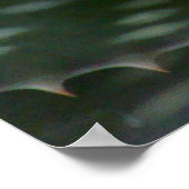 stekelige aloë vera poster (Hoek)