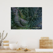 stekelige aloë vera poster (Keuken)