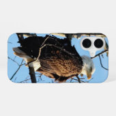 Stekelige Arendhouding iPhone 16 Hoesje (Achterkant horizontaal)