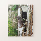 Stekelige berggeit legpuzzel (Verticaal)