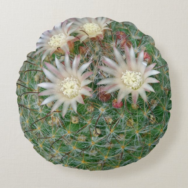 Stekelige Bloeiende Natuurlijke Groene Cactus Rond Kussen (Voorkant)
