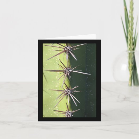 Stekelige Cactus Close-up Verticale Sticker Kaart (Voorkant)