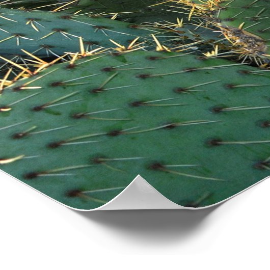 Stekelige cactussen poster (Hoek)