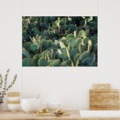 Stekelige cactussen poster (Keuken)