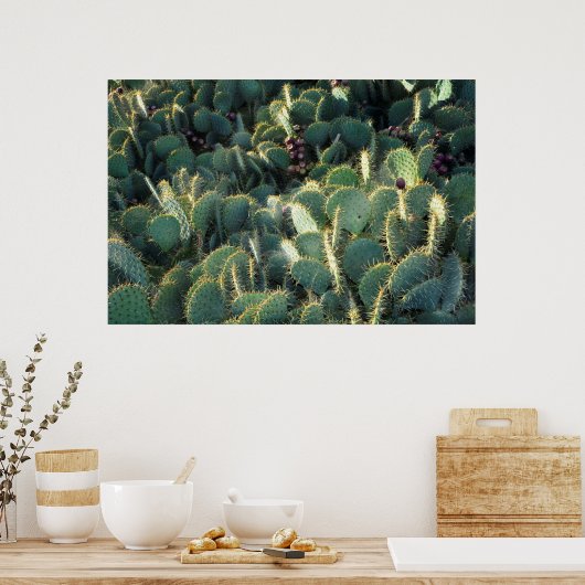 Stekelige cactussen poster (Keuken)