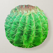 Stekelige Look Natuurlijke Groene Cactus