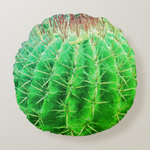 Stekelige Look Natuurlijke Groene Cactus Rond Kussen