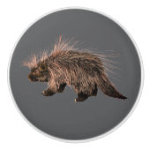 Stekelige Porky Keramische Knop (Voorkant)