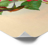  stekelkogels afdrukken Rode bloemen Poster (Hoek)