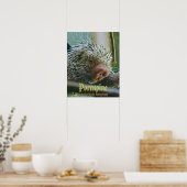 Stekelvarken 2 Poster (Keuken)