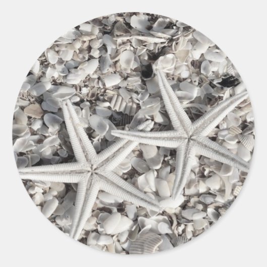 Stekelvarken op doorsnee Stickers (Voorkant)