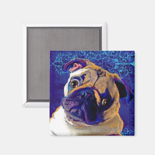 stekkermagneet magneet (Voorkant / Achterkant)