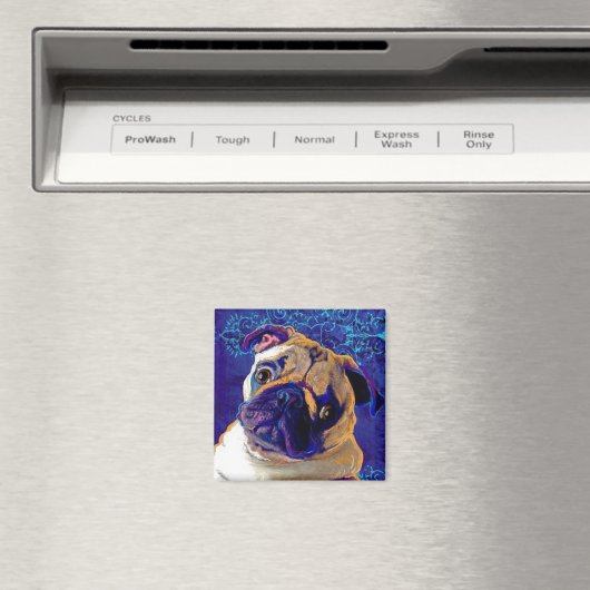 stekkermagneet magneet (Insitu (Vaatwasser))