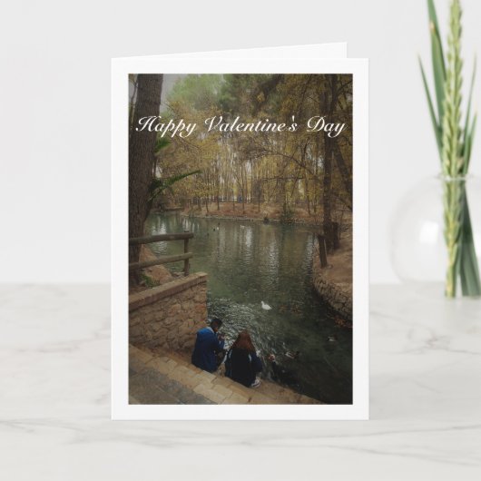 Stel dat eenden voert in San Vicente Park Kaart (Voorkant)