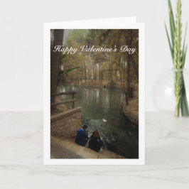 Stel dat eenden voert in San Vicente Park Kaart