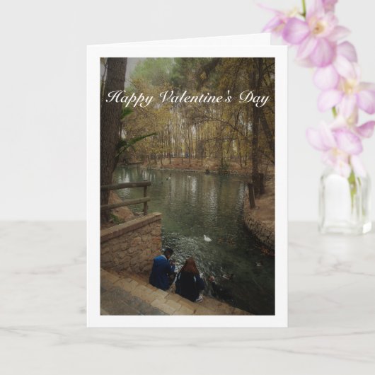 Stel dat eenden voert in San Vicente Park Kaart (Orchidee)