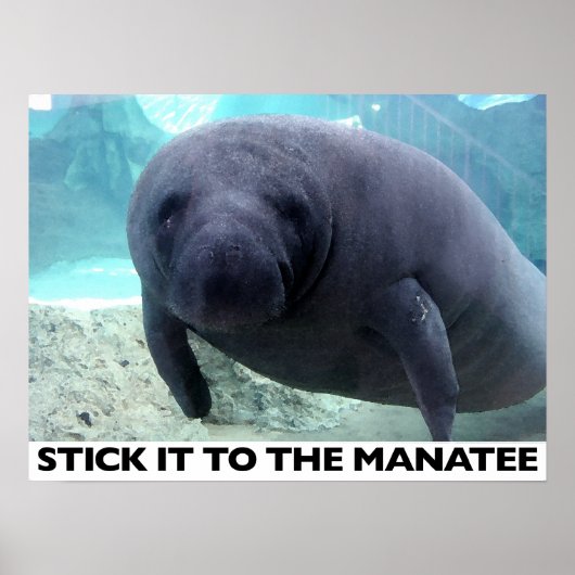 STEL HET AAN HET MANAAT poster (Voorkant)