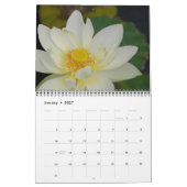 Stel je de kalender voor de waterlilies voor (Jan 2027)