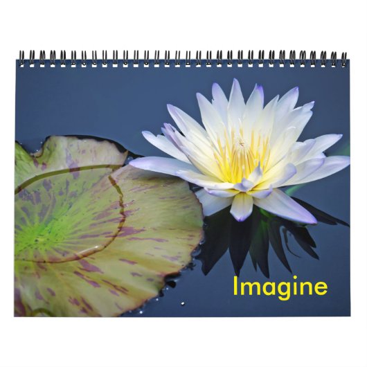 Stel je de kalender voor de waterlilies voor (Hoes)
