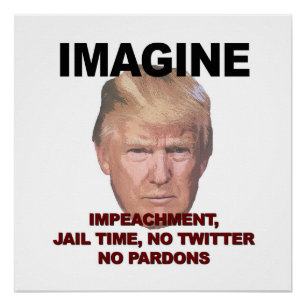 Stel je voor: Impeachment, Jail, Geen Twitter, gee Poster