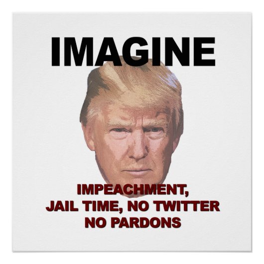 Stel je voor: Impeachment, Jail, Geen Twitter, gee Poster (Voorkant)